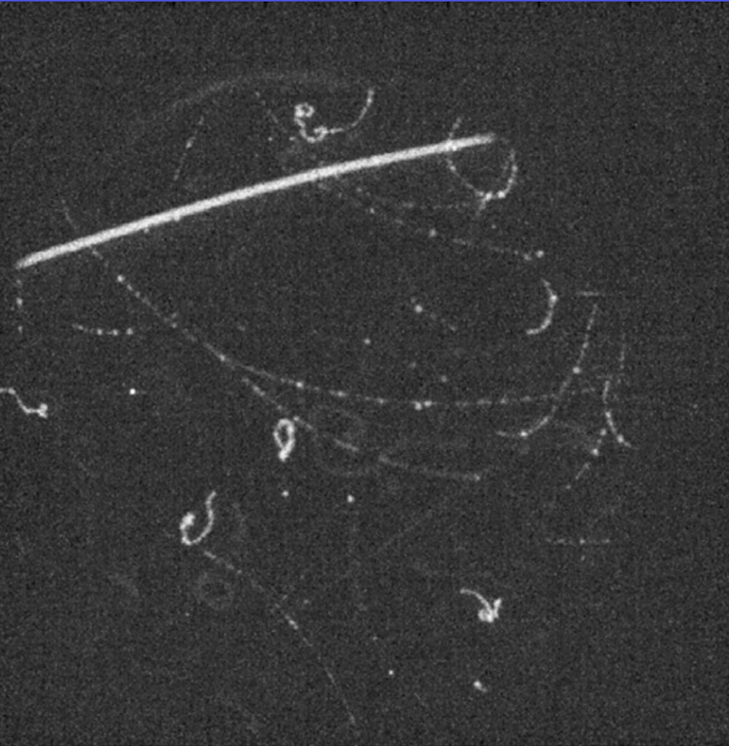 OPTICAL GEM IMAGE